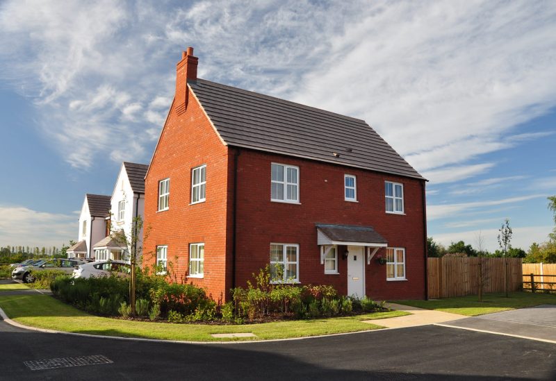 chamfered white windows