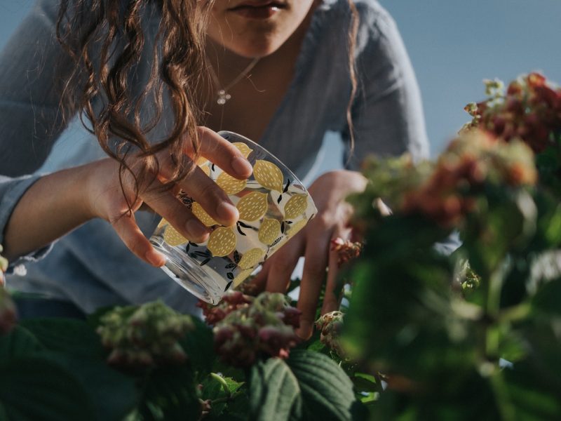 Gardening quiz questions to put your knowledge to the test