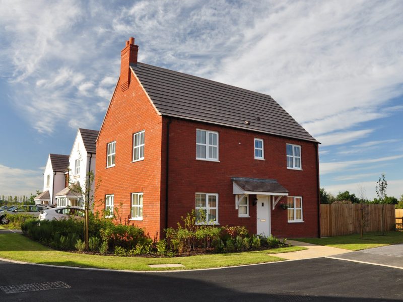 chamfered white windows