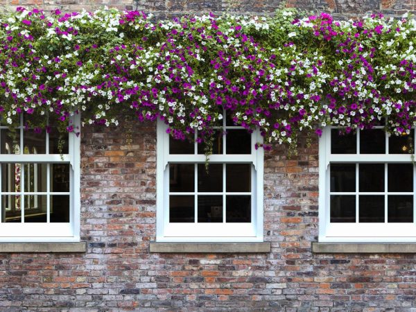 windows upvc