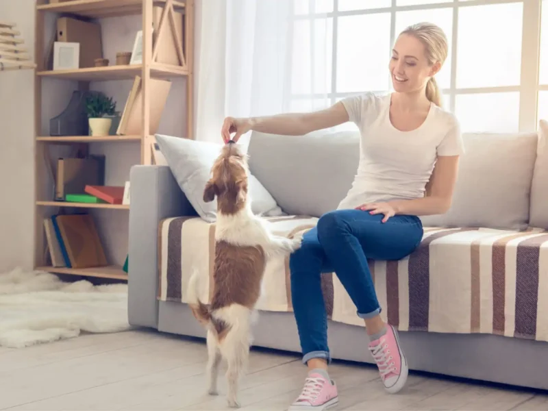 double glazing hayle